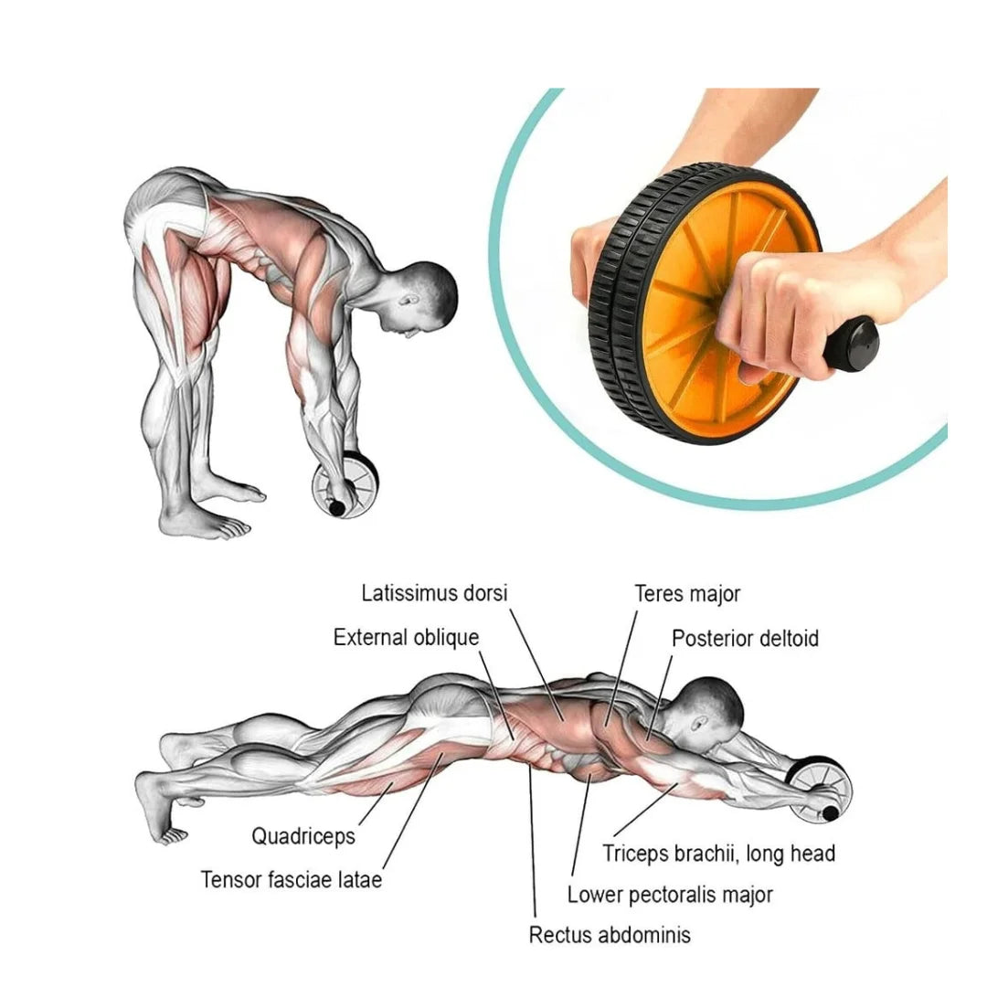 High-Quality Ab Roller Wheel - Master Core Strength & Abdominal Fitness