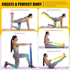 3-Pack Resistance Bands Set (Light, Medium, Heavy) | Thera/Yoga Bands for Full Body Workout, Strength Training & Physical Therapy – Men & Women